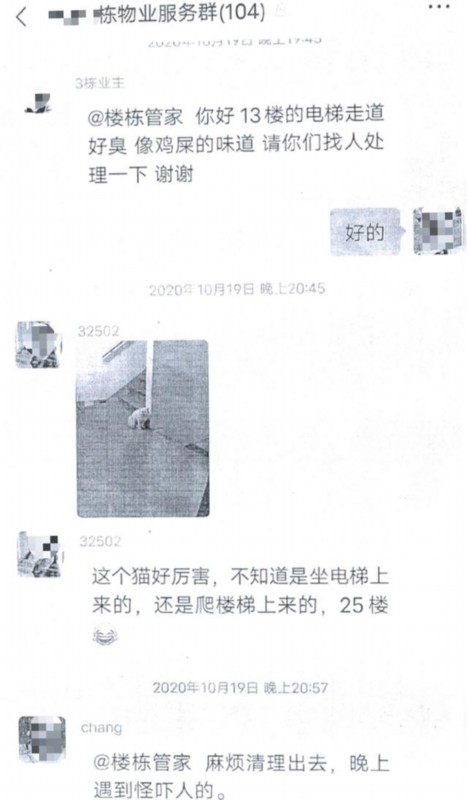 物业清理”流浪猫“被业主告上法院
