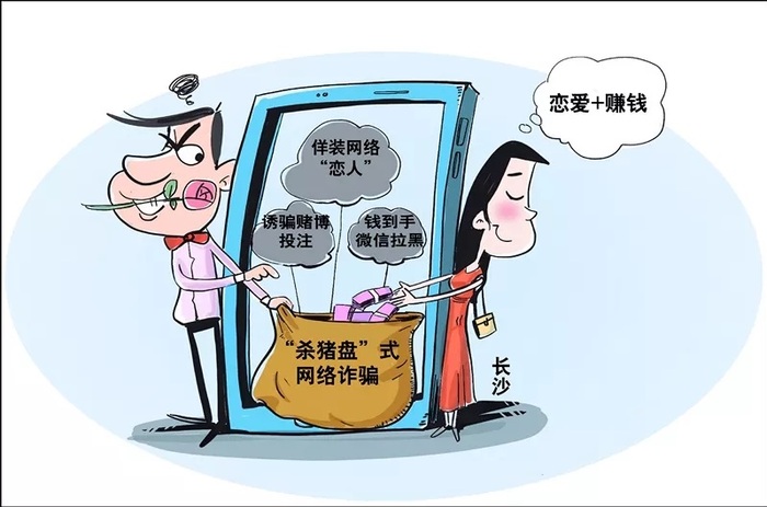又一“杀猪盘”被破，头部分子被判无期