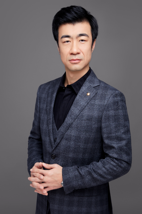 苏宁 &nbsp;合伙人律师